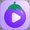小猪视频app二维码下载