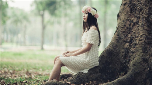 丝瓜黄瓜草莓向日葵秋葵榴莲污日葵秋