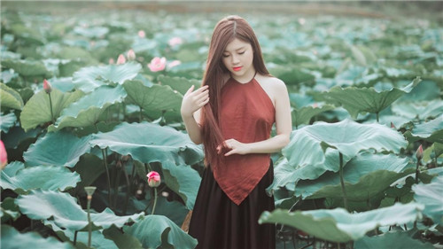 粉色视频app下载安装无限看免费-丝瓜苏州晶红楼