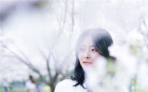 instagram免费
