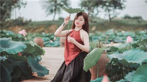 脱裤吧免费网站在线