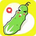 少妇真人直播APP