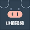 免费扑克牌网站WWW软件