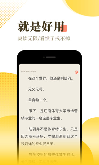 灰色忍者小说