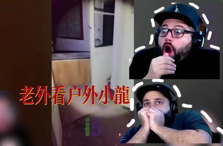 千度户外小龙探险直播