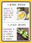 草莓苹果香蕉荔枝丝瓜污版
