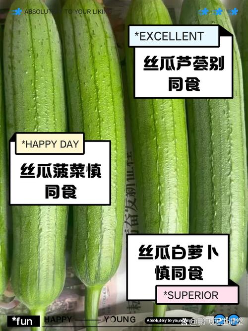 草莓苹果香蕉荔枝丝瓜污版