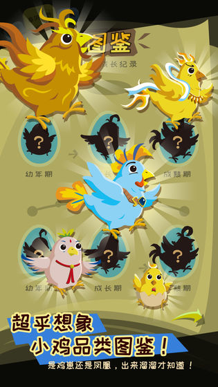 鸡不可失