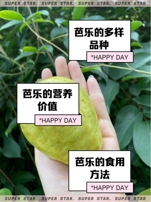 榴莲草莓丝瓜茄子芭乐小蝌蚪免费版
