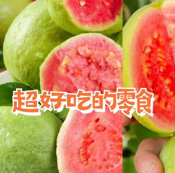 榴莲草莓丝瓜茄子芭乐小蝌蚪免费版