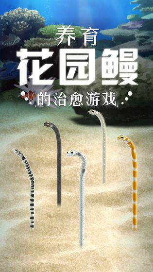 养育花园鳗的治愈游戏免费版