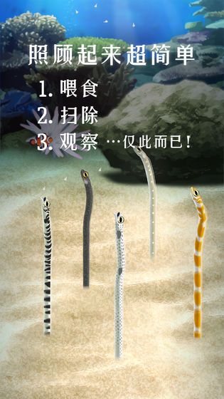 养育花园鳗的治愈游戏免费版