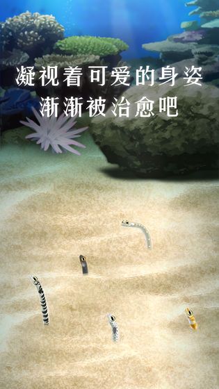 养育花园鳗的治愈游戏免费版