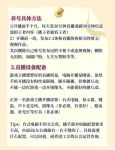 去拍小视频