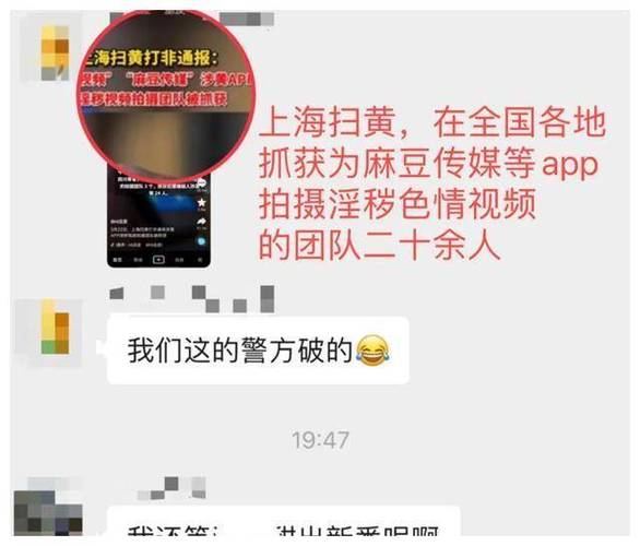 麻豆传煤app网页入口大全