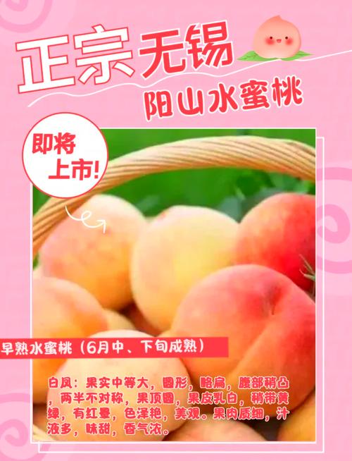 水蜜桃实验研究所