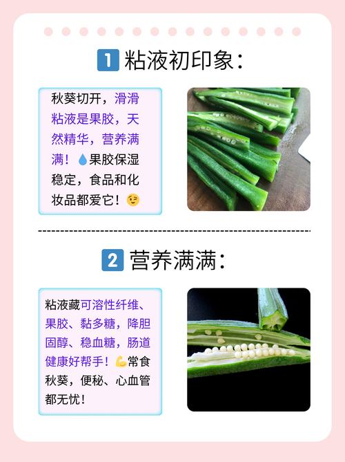 秋葵下载秋葵官方18岁