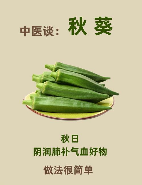 秋葵下载秋葵官方18岁