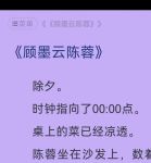王成陈蓉小说