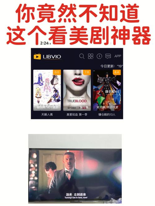 傻气前妻