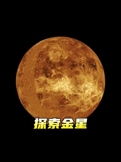 金星降临之夜