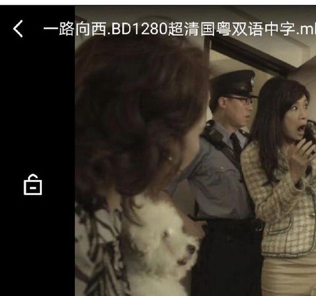 一路向西抢先版