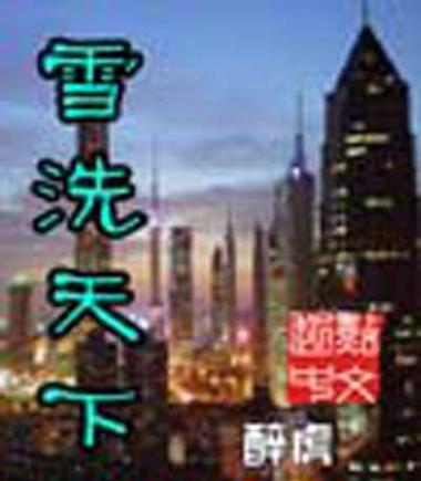 雪洗天下txt