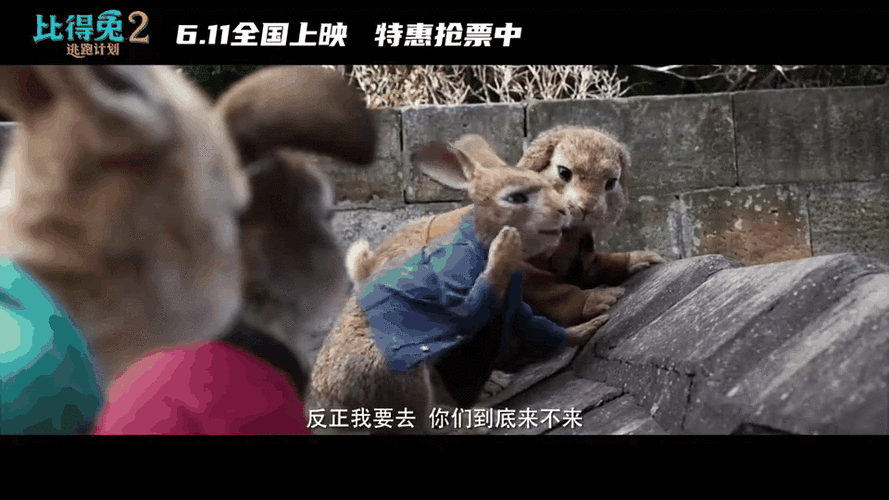 2019达达兔电视剧
