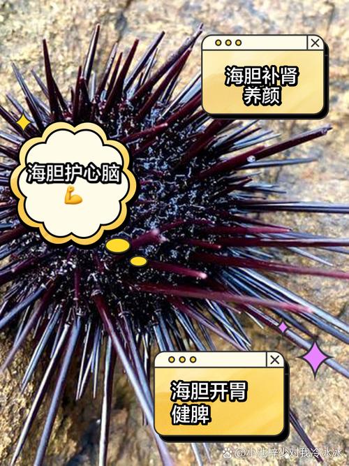 海胆影视1.6.5版