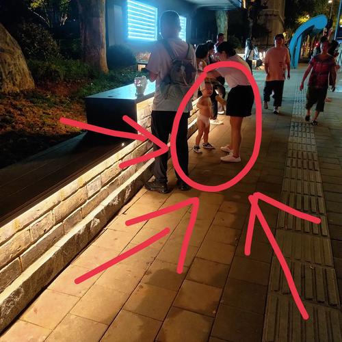 美女脱一净二净免费观看APP