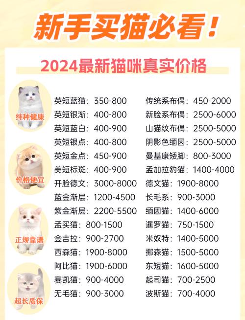 新版猫咪目前的地址2021官网版