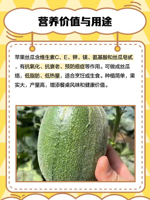 丝瓜秋葵草莓香蕉榴莲芒果