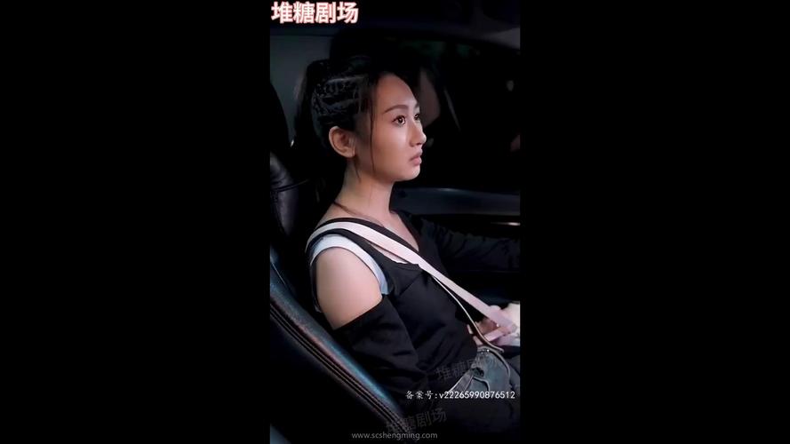 麻豆视传媒短视频林仙踪