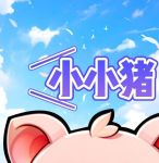 小猪视频1.0.7安卓版