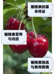 草莓荔枝丝瓜茄子樱桃