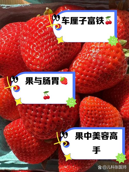 草莓荔枝丝瓜茄子樱桃