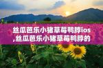鸭脖香蕉芭乐丝瓜草莓小猪