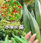 荔枝秋葵视频