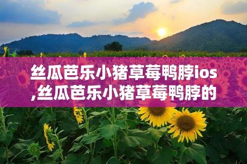 丝瓜草莓向日葵芭乐榴莲小猪鸭脖最新版