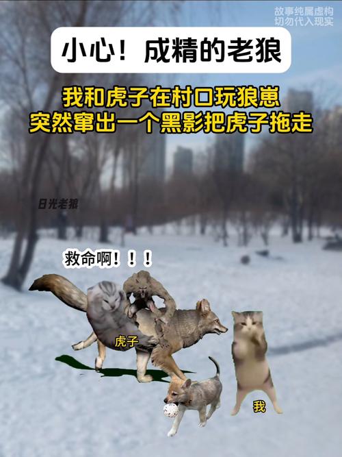 javahbb老狼