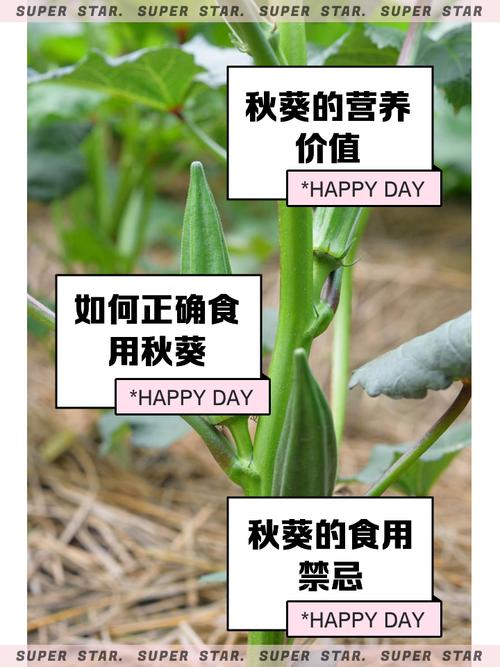 秋葵app永久免费ios