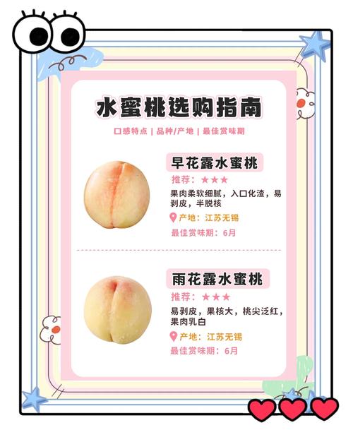 水蜜桃研究所