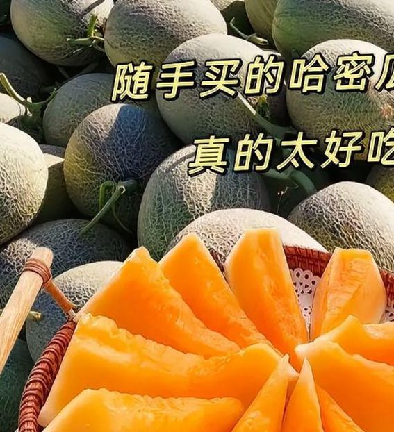 哈密瓜视频app懂你更多