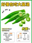 秋葵茄子丝瓜榴莲蕾丝