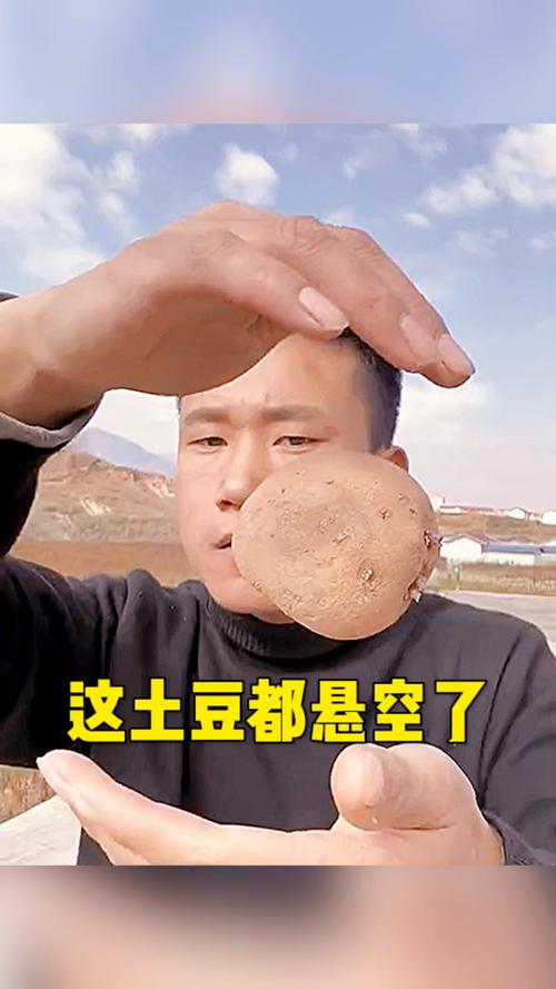 土豆视频