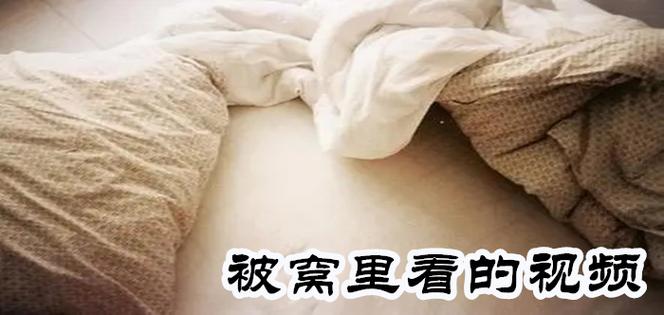被窝里成年视频在线观看