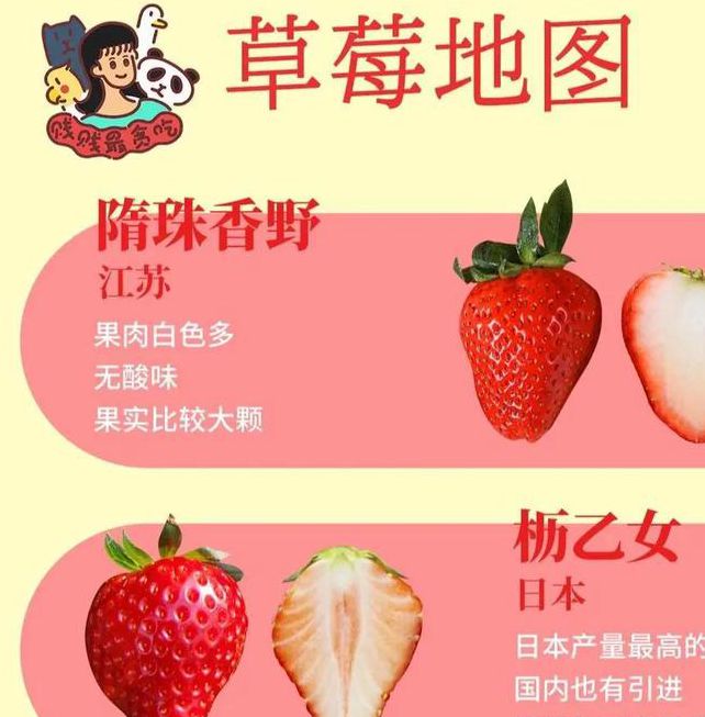 向日葵樱花草莓榴莲大全