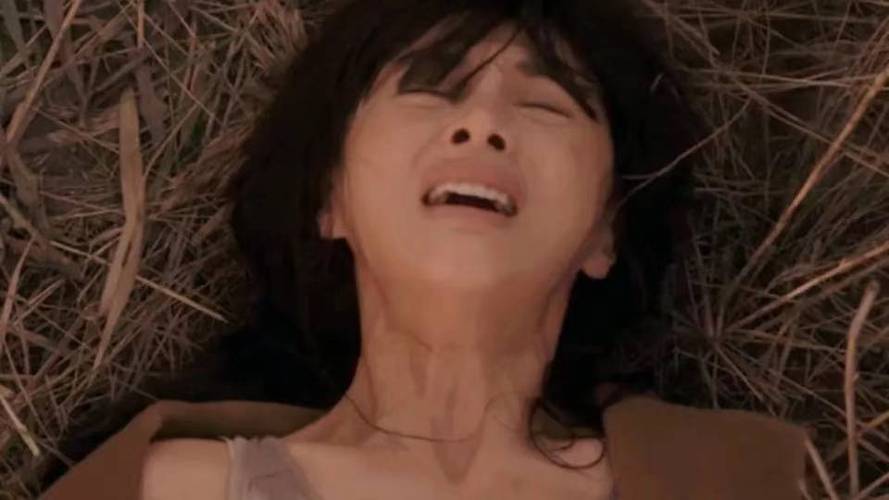 成人超爽视频高清免费