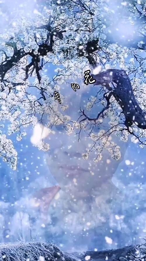 雪花飘影视