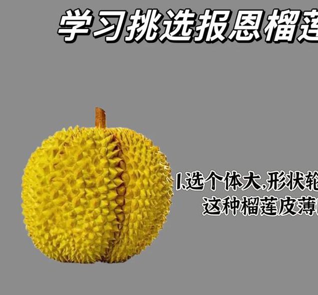 哪里还能下老版本榴莲